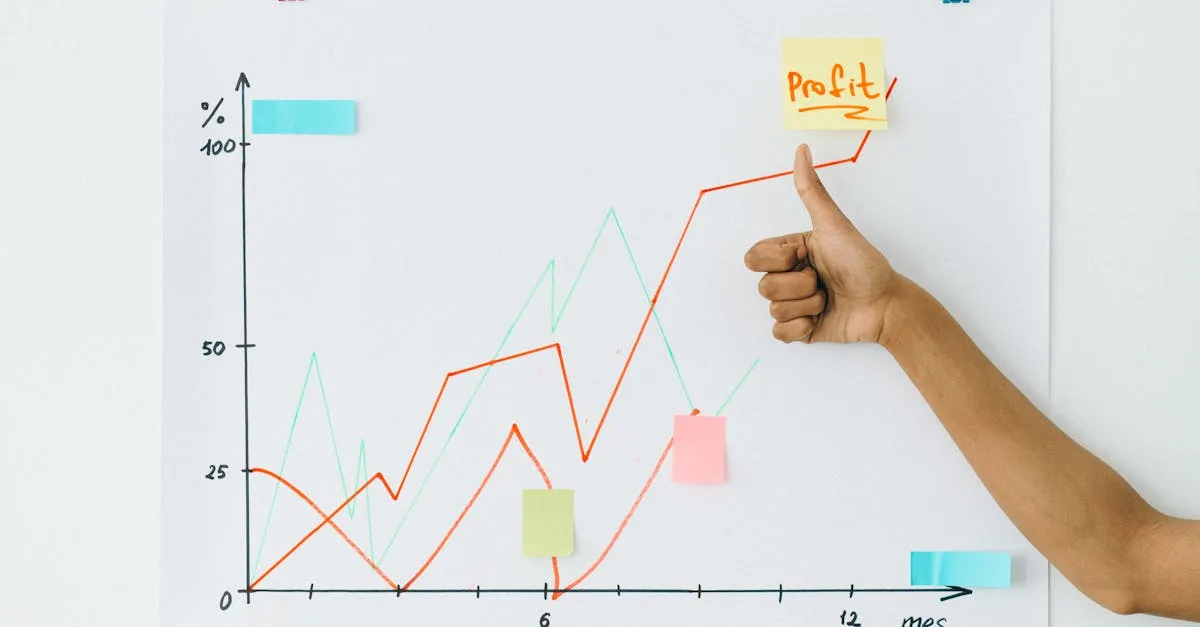 Dividendi SRL: come e quando distribuire gli utili